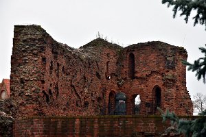 DSC_9463
